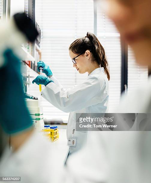 female scientist using pipette in laboratory - forschung und entwicklung stock-fotos und bilder