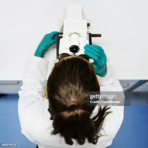 female scientist on microscope - cientifico con microscopio fotografías e imágenes de stock