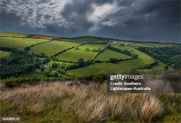 exmoor light - exmoor national park stock pictures, royalty-free photos & images