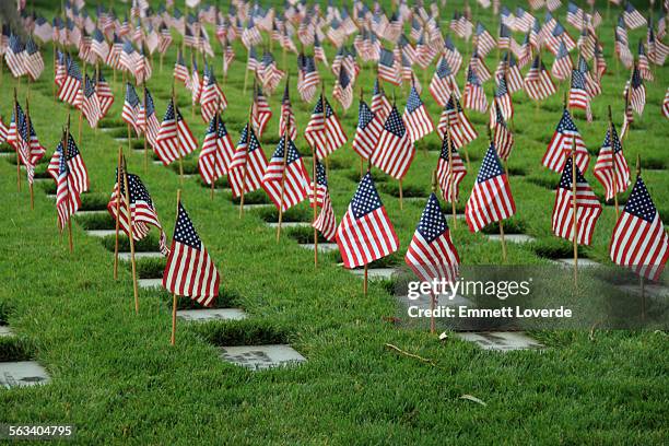 flags grave markers los angeles memorial cemetery - memorial day flag ceremony stock-fotos und bilder