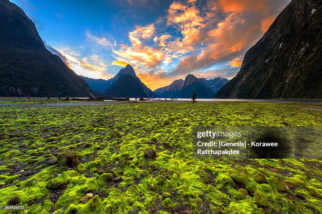 Milford sound with the sunset