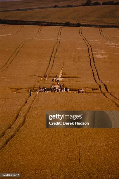 Crop circles in a field near Salisbury, UK, 23rd July 1990.