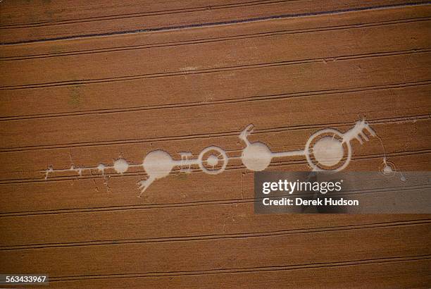 Crop circles in a field near Salisbury, UK, 23rd July 1990.