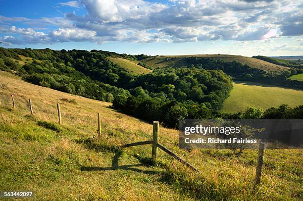 fence through the south downs - south downs imagens e fotografias de stock