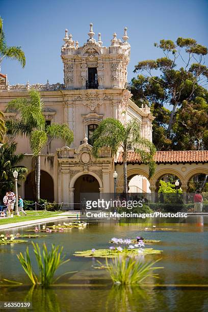 high angle view of a lily pond reflecting pool, balboa park, san diego, california, usa - balboa park - fotografias e filmes do acervo