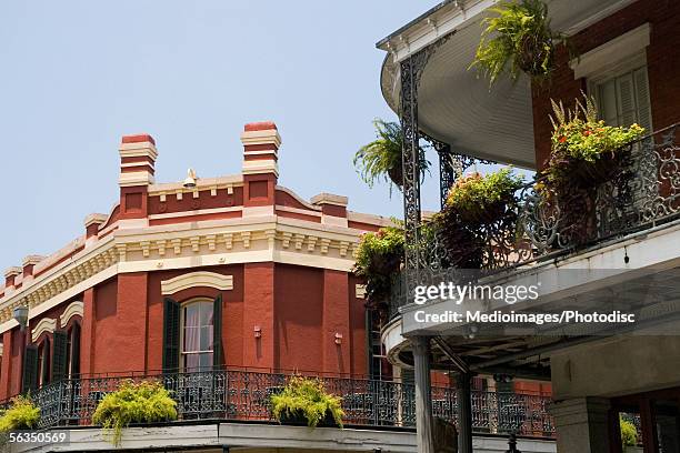 balconies in french quarter - new orleans architecture stock pictures, royalty-free photos & images