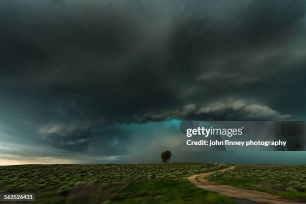 shelf cloud storm, lamar, colorado - caçador de tempestades imagens e fotografias de stock