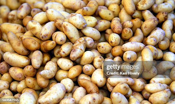 Photo of Russian banana fingerling potatoes. Story on recipes using farmers market produce at its peak. Photos at Santa Monica Farmers Market,...