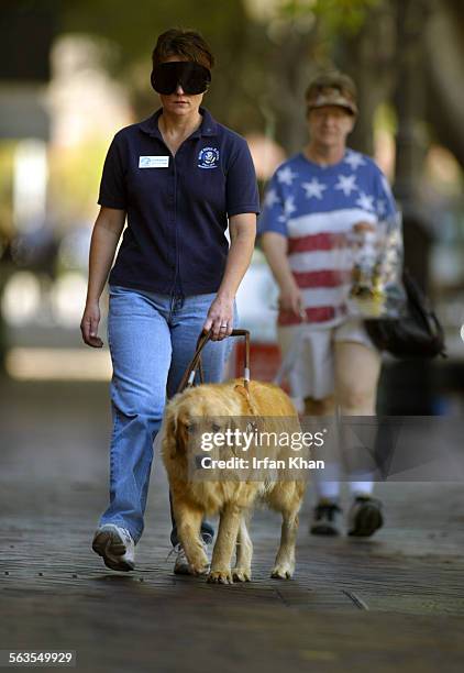 Redlands, October. 14, 2004.  Blind folded Katryn Webster , a guide dog instructor, tests "Sunset", a 23monthsold male golden retriever, in...