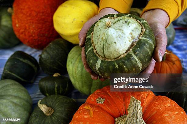 At the Thogmartin Farm stand Holding a buttercup squash with several other varieties of squash and pumpkins behin. Such as Queensland Blue The yellow...