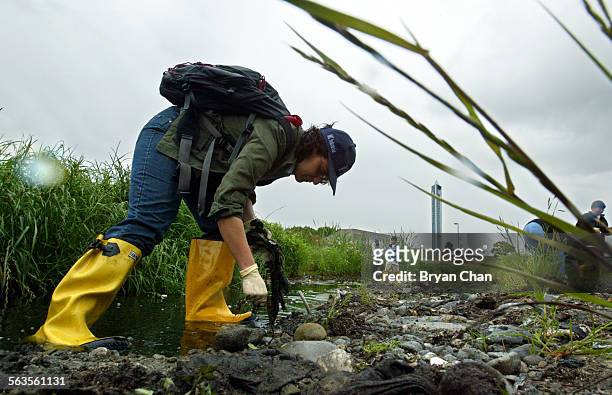 Pam Boyle helps clean up trash and debris from Compton Creek in Compton on Saturday. She was among more than 130 volunteers that participated in the...