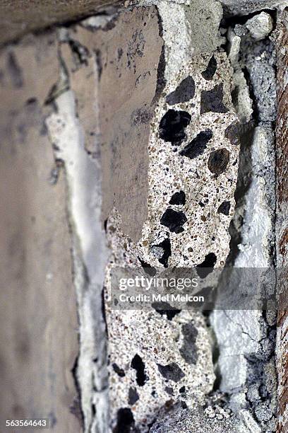 Stackybotrys Stachybotrys Chartarum Photos and Premium High Res Pictures - Getty Images