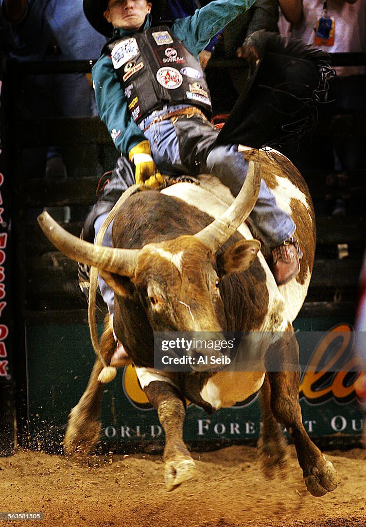 LAS VEGAS, NV. bull riding. Justin McBride from Elk City, OK tries to stay on "Sudden Impact" at the