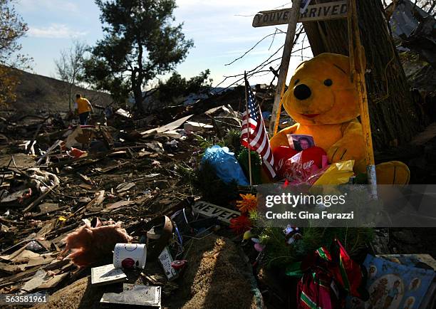 Memorial for Janice Bradley rests on tree near her destroyed mobile home at the KOA Kampground in Devore Wednesday. Her brother, Mike Fawcett of...