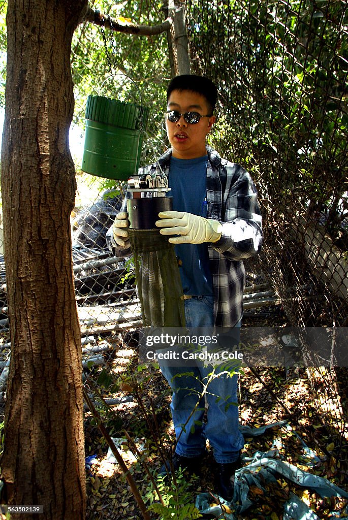Karl Quinn, a lab field assistant with the Vector Control District of Greater L.A. County, sets a tr