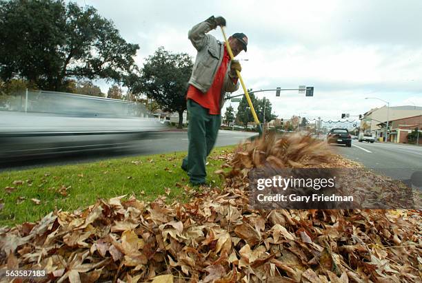 A maintenance worker with the city of South Pasadena, rakes leaves from the median along Fair Oaks Blvd in South Pasadena on Wednesday, 12/10/03....