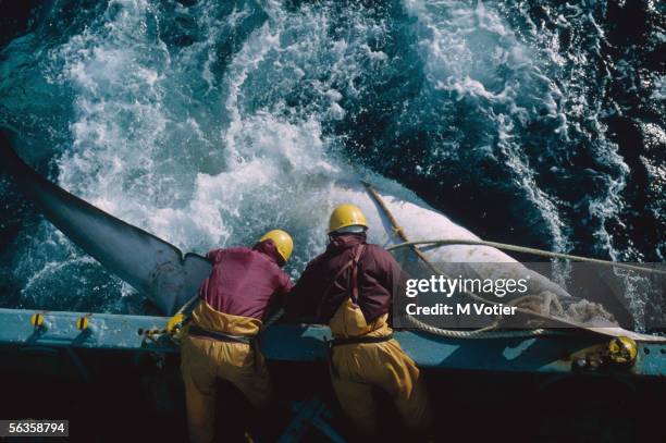 The crew of a Japanese whaling vessel drag an injured whale to the side of the ship during a scientific research mission in the Antarctic, 1993.