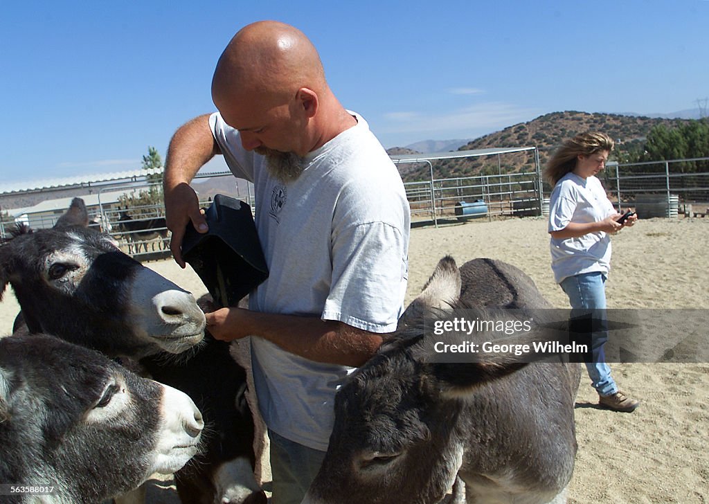 10/5/2001  Mark Meyers, left, feeds some of the approximately 25 burros he and his wife Amy, right,