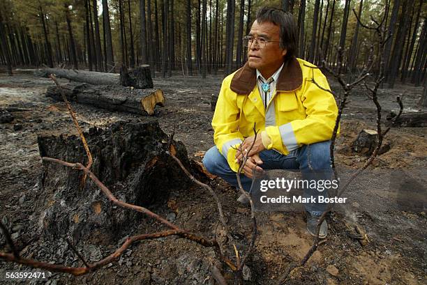 Wmat White Mountain Apache Tribe Photos and Premium High Res Pictures ...