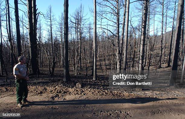Cedar Fire 256 Cedar Fire (2003) Stock Photos, High-Res Pictures, and Images ...