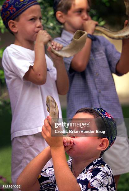 Abraham Joshua Heschel Day School students Noah KussimBordo, bottom, Ethan Galaif, top left, and Stevie Goodrich, top right, ALLCQ) all 7 years old,...