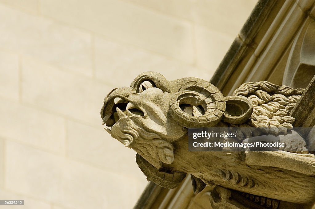 Low angle view of a ram gargoyle, National Cathedral, Washington DC, USA