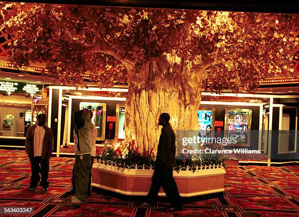 According to a Times investigation, on the night of a Mike Tyson fight, a fight by the gold tree in a loby at the MGM Grand Hotel and Casino, between...