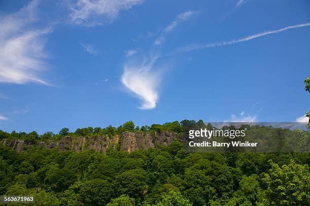green trees on the palisades, nj - new jersey landscape stock pictures, royalty-free photos & images