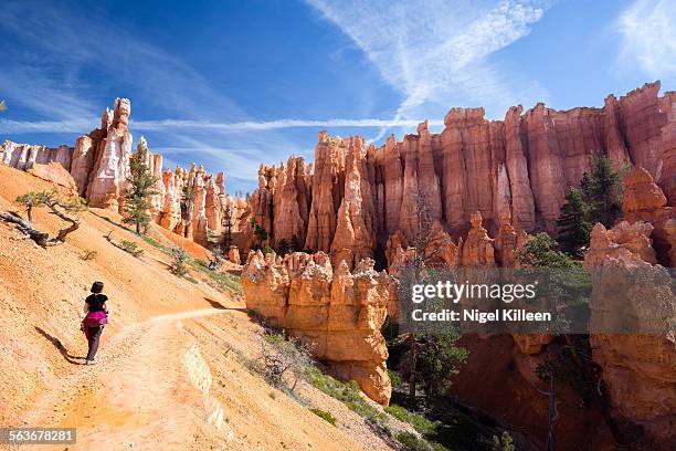 bryce canyon national park - bryce canyon stock pictures, royalty-free photos & images