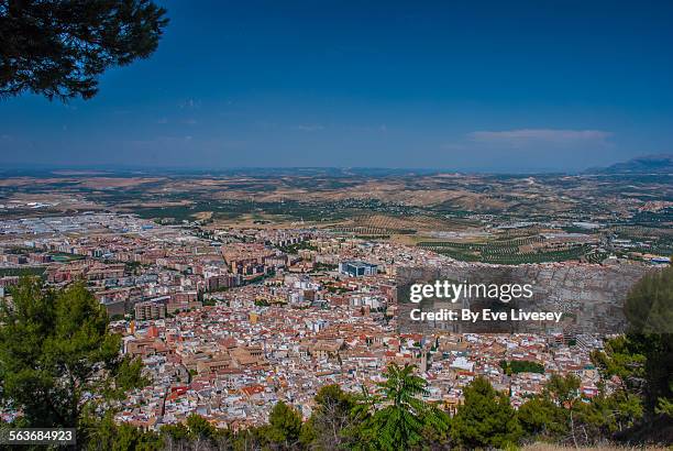 jaen city - jaén fotografías e imágenes de stock