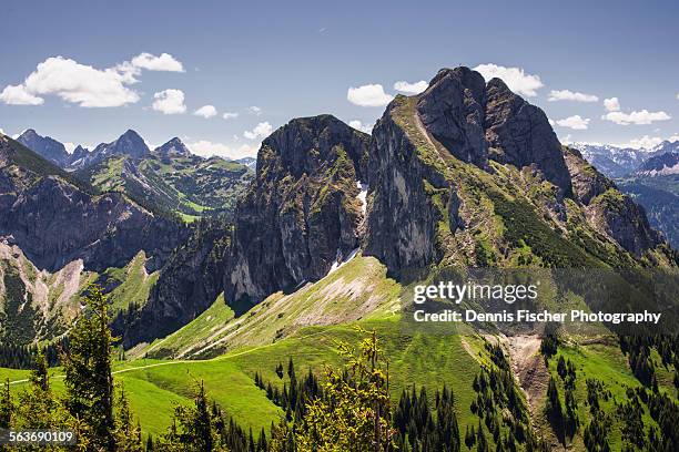 aggenstein peak - grenzbaum stock-fotos und bilder