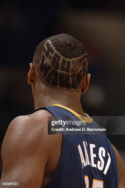 Ron Artest of the Indiana Pacers is seen with the words "Tru Warier" shaved in the back of his head against the Los Angeles Clippers November 27,...