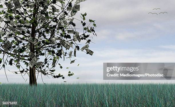 low angle view of money growing on a tree - grass low angle stock illustrations