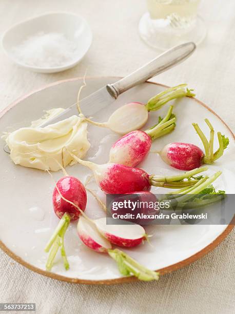 radishes with butter and salt - radijs stockfoto's en -beelden