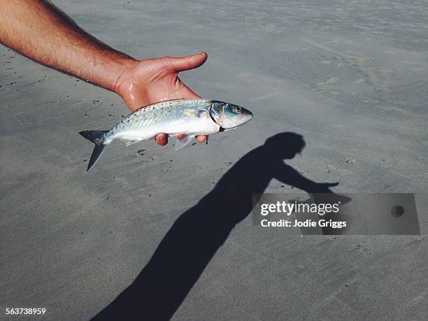 Man holding freshly caught fish in his hand