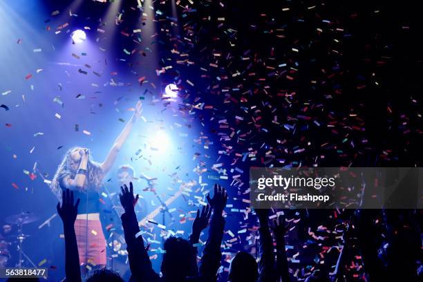 crowd of people at music concert - concert for liberty stock-fotos und bilder