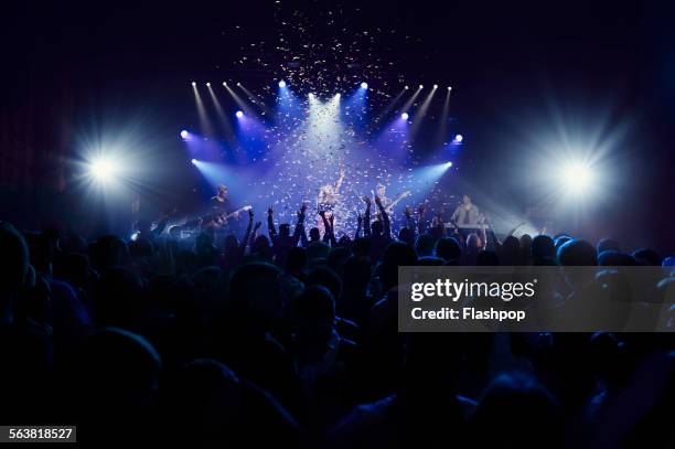 crowd of people at music concert - concert photos et images de collection