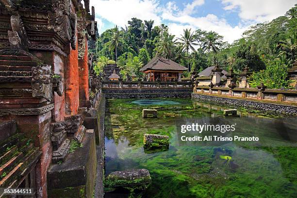 tirta empul temple in bali - tirta empul temple stock pictures, royalty-free photos & images