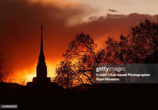 lds temple in ogden, utah - houston v temple stock pictures, royalty-free photos & images