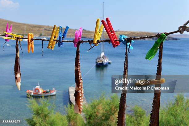 octopus drying, sigri, lesvos, greece - lesbos stock pictures, royalty-free photos & images