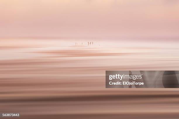 people fishing early in the morning at beach - canelones ストックフォトと画像