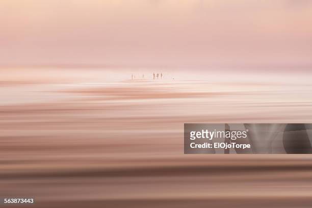 people fishing early in the morning at beach - canelones stock pictures, royalty-free photos & images