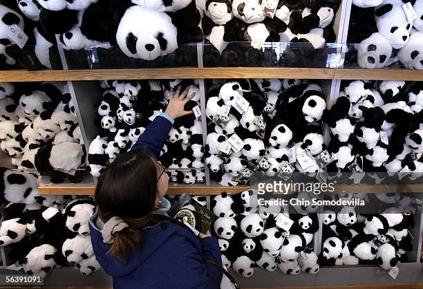 Amanda Jones of Alexandria, Virginia, looks at a display of plush pandas at Smithsonian National Zoological Park's store December 8, 2005 at the zoo...