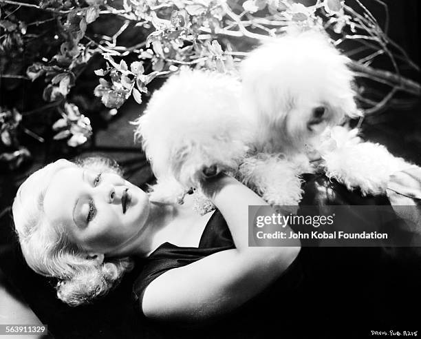 Portrait of actress Bette Davis reclining back on a blanket with two pet dogs, for Warner Bros Studios, 1932.