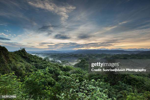 green valley at daybreak - smokey mountain spring stock pictures, royalty-free photos & images