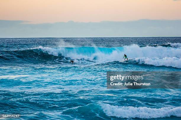 surf's up - sunset beach hawaï stockfoto's en -beelden