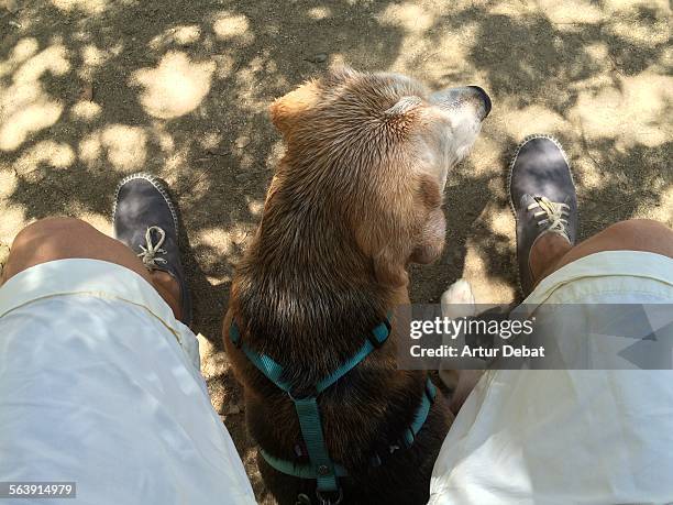 cooling off - maresme stock pictures, royalty-free photos & images