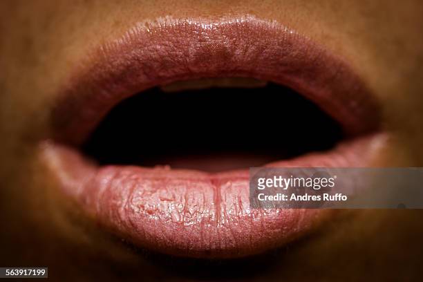 lips close-up - andres ruffo stock-fotos und bilder