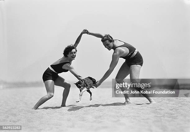 Portrait of actress Joan Crawford and her first husband, actor Douglas Fairbanks Jr , playing around on the beach with their dog, for MGM Studios,...