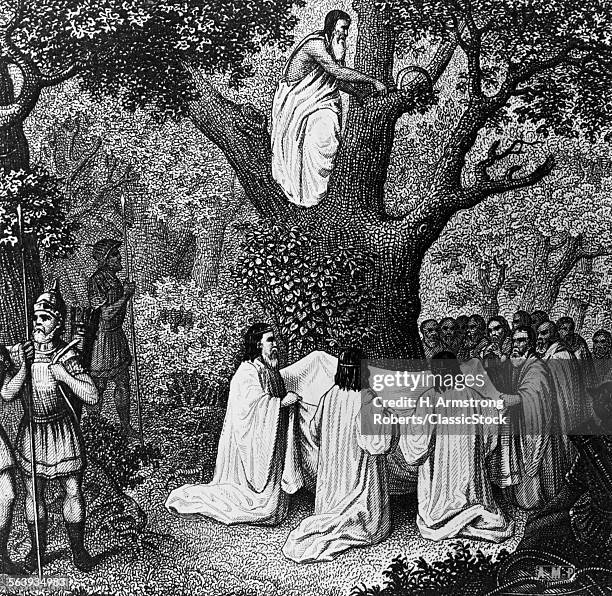 ILLUSTRATION OF DRUID PRIESTS IN AND AROUND A TREE GATHERING MISTLETOE